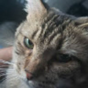 Meet your Posher, Marlon